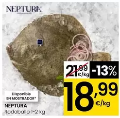 Neptura - Rodaballo 