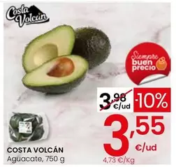 Costa Volcán - Aguacate