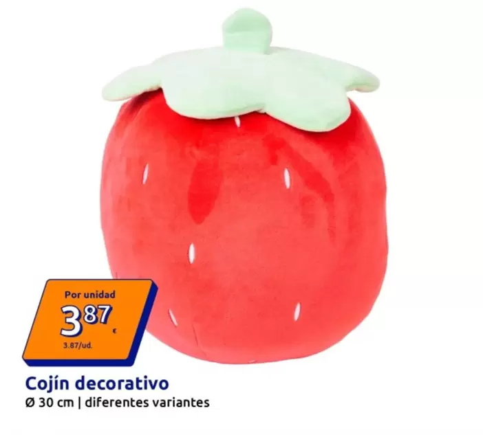 Cojin Decorativo
