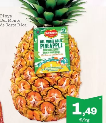 Del Monte - Pinya De Costa Rica