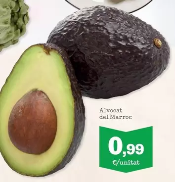 Alvocat Del Marroc