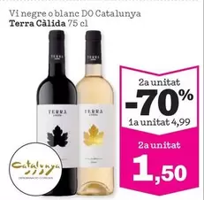 Terras Gauda - Vi Negre O Blanc Do Catalunya