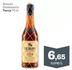 Terry - Brandi Centenario