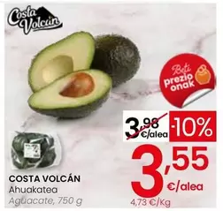 Costa Volcán - Aguacate