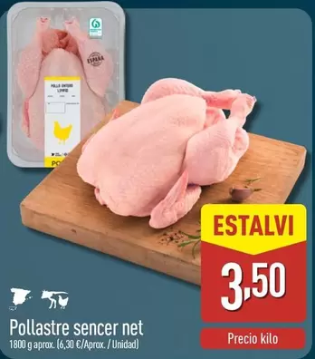 Pollastre Sencer Net