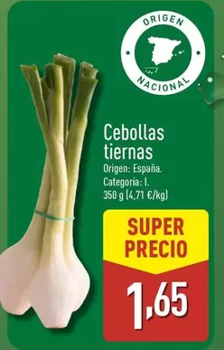 Cebollas Tiernas