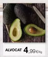 Alvocat