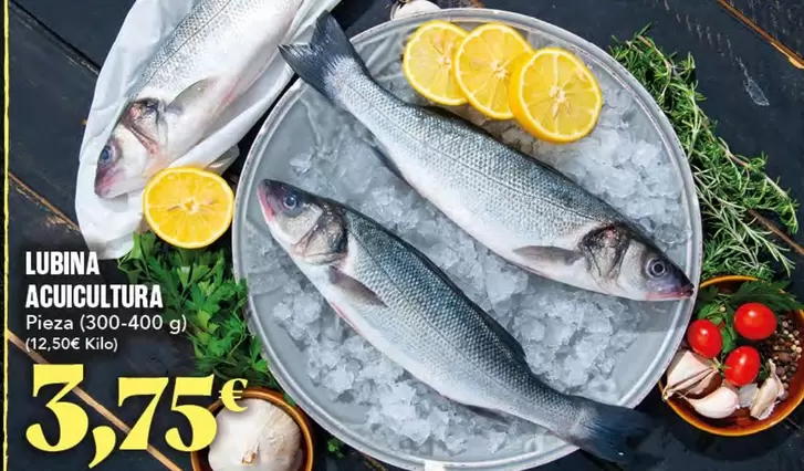 Lubina Acuicultura