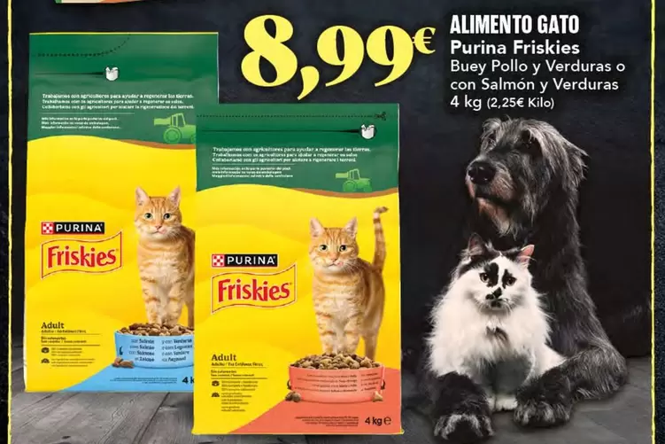Purina - Alimento Gato