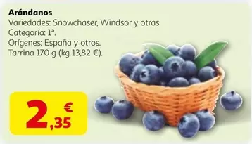 España - Arándanos