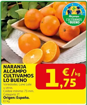 alcampo - Naranja Alcampo Cultivamos