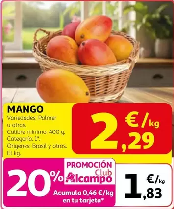 mango - Mango