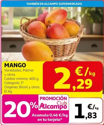 mango - Mango