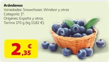 España - Arándanos