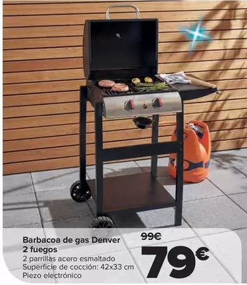 Denver - Barbacoa De Gas