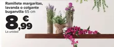 Ramillete Margaritas, Lavanda O Colgante Buganvilla