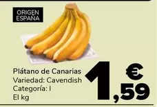 Platano De Canarias