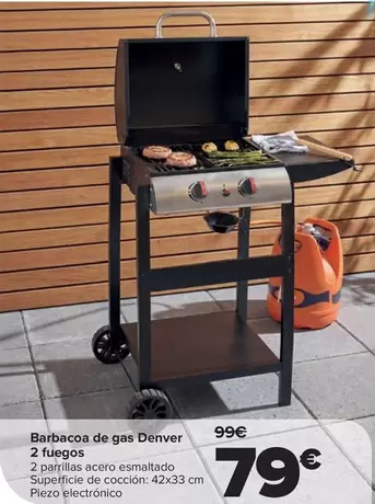 Denver - Barbacoa De Gas