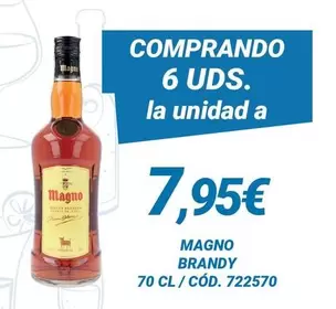 Magno - Brandy