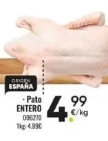 origen - Pato Entero