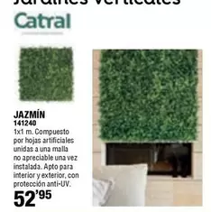 Jazmín