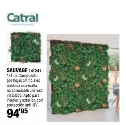 Catral - Sauvage