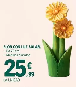 Flor Con Luz Solar