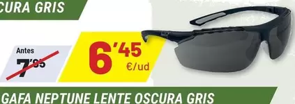 Gafa Neptune Lente Oscura Gris