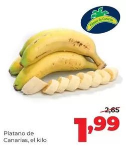 Platano De Canarias