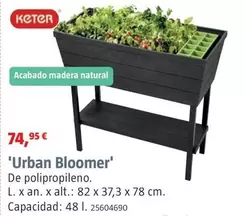 Keter - Urban Bloomer
