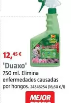 Compo - Duaxo