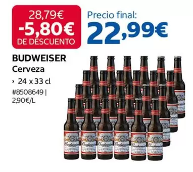 Budweiser - Cerveza