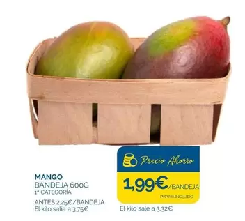 mango - Mango