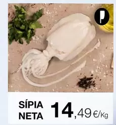 Sípia Neta