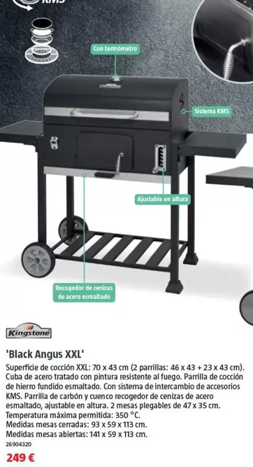 Kingston - Black Angus Xxl
