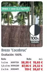 Brezo Cocobruc 