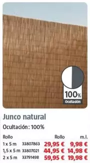 Junco Natural 