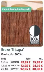Brezo Tricapa 