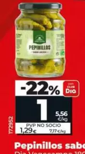 Dia Vegecampo - Pepinillos Sabor Anchoa