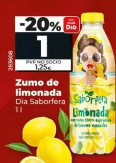 Dia Saborfera - Zumo De Limonada