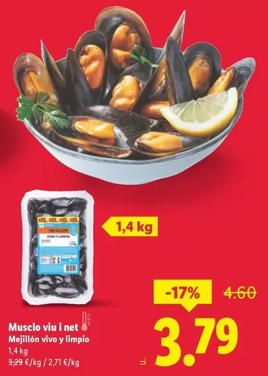 Mejillón Vivo Y Limpio