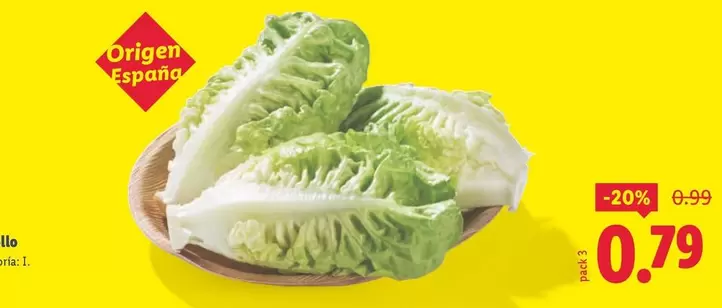 Cogollo Origen Espana