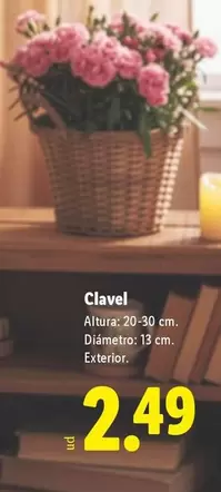 Clavel