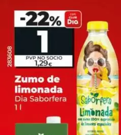 Dia Saborfera - Zumo De Limonada