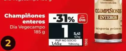 Dia Vegecampo - Champiñones Enteros 