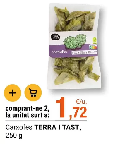 Terra - Carxofes