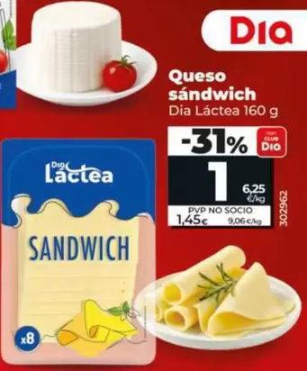 Dia Lactea - Queso Sandwich 
