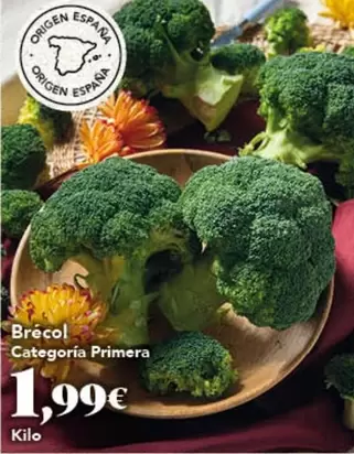 origen - Brecol Categoria Primera