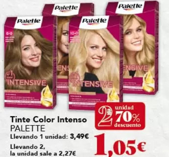 Palette - Tinte Color Intenso