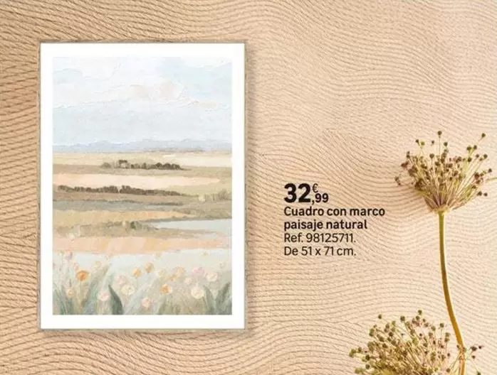 Cuadro Con Marco Paisaje Natural